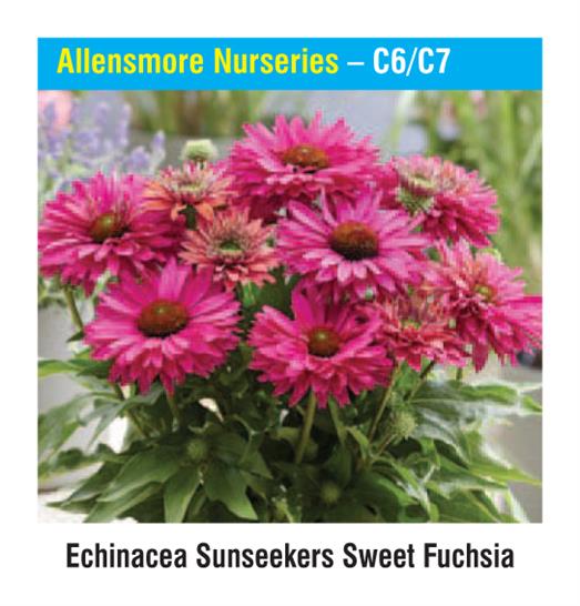 Allensmore Nurseries